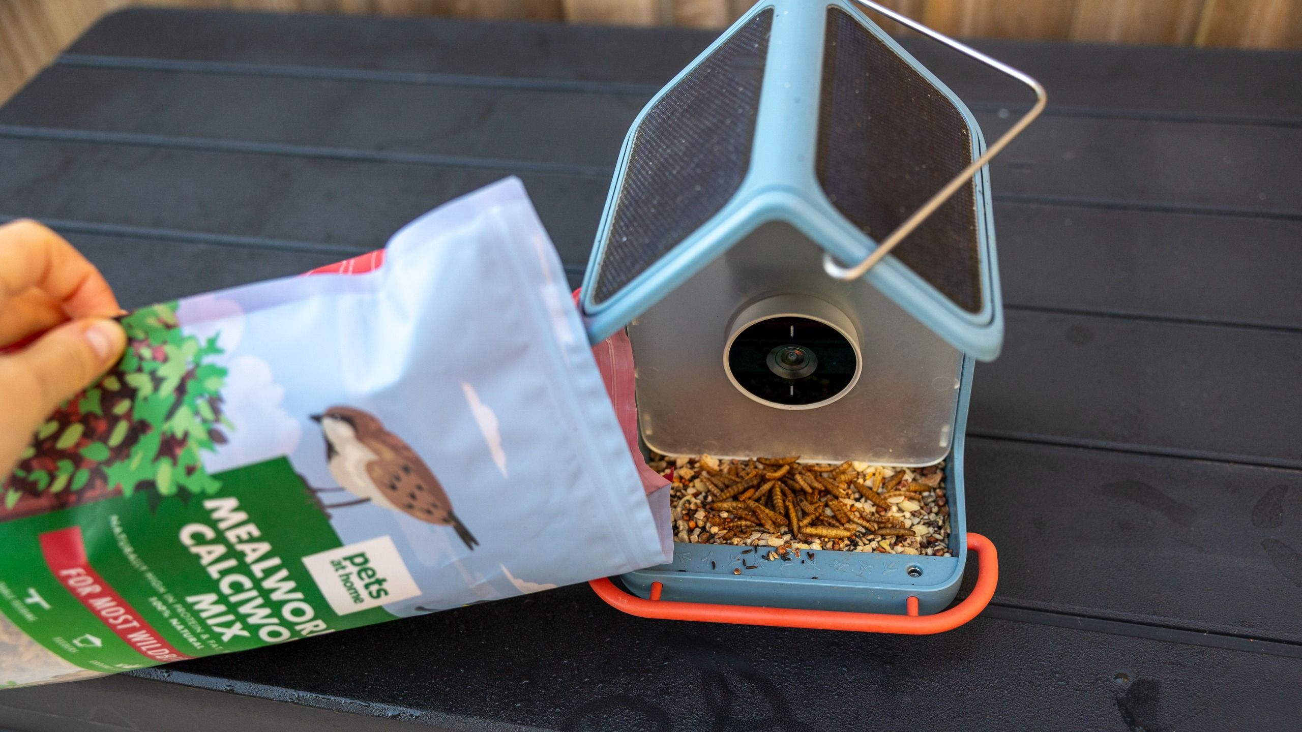 Refilling the Bird Buddy 2 with worms
