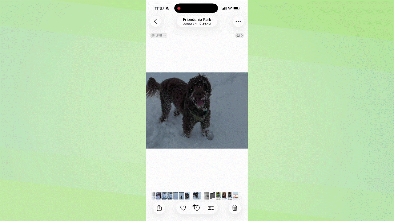 iOS Camera tips &amp;amp; tricks showing photos to gif.
