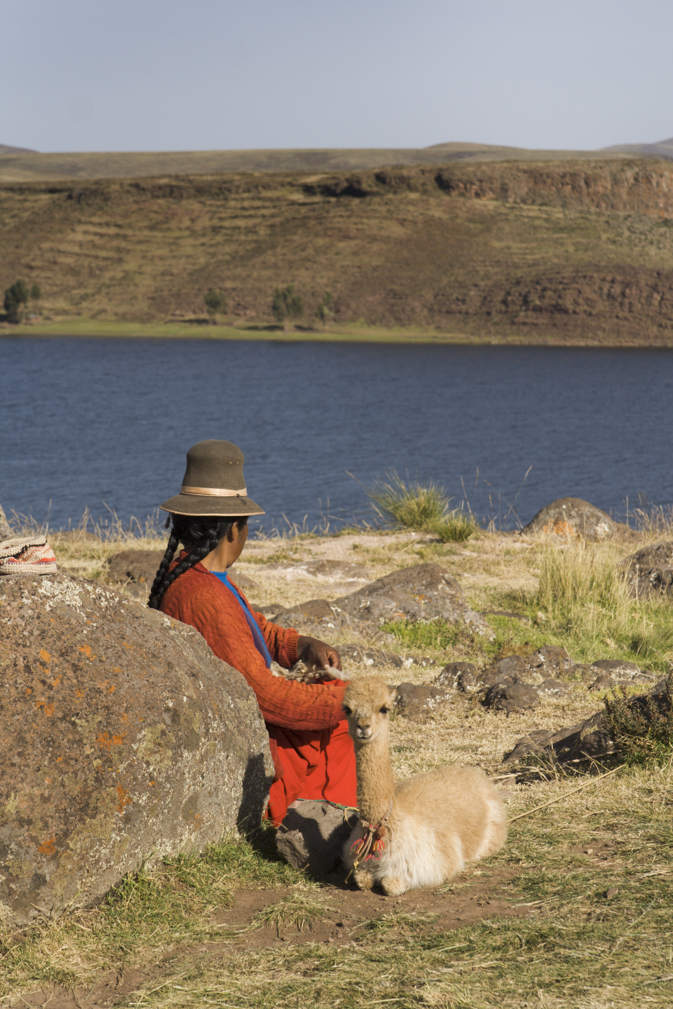 A Peruvian woman spinning the wool of a baby Vicuna