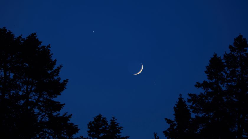 A crescent moon is pictured in a dark blue sky with the dark silhouettes of trees below.