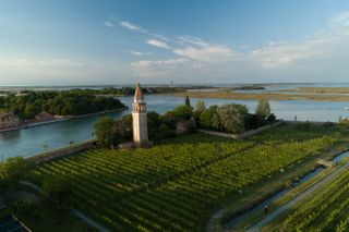 drone pic of venissa winery