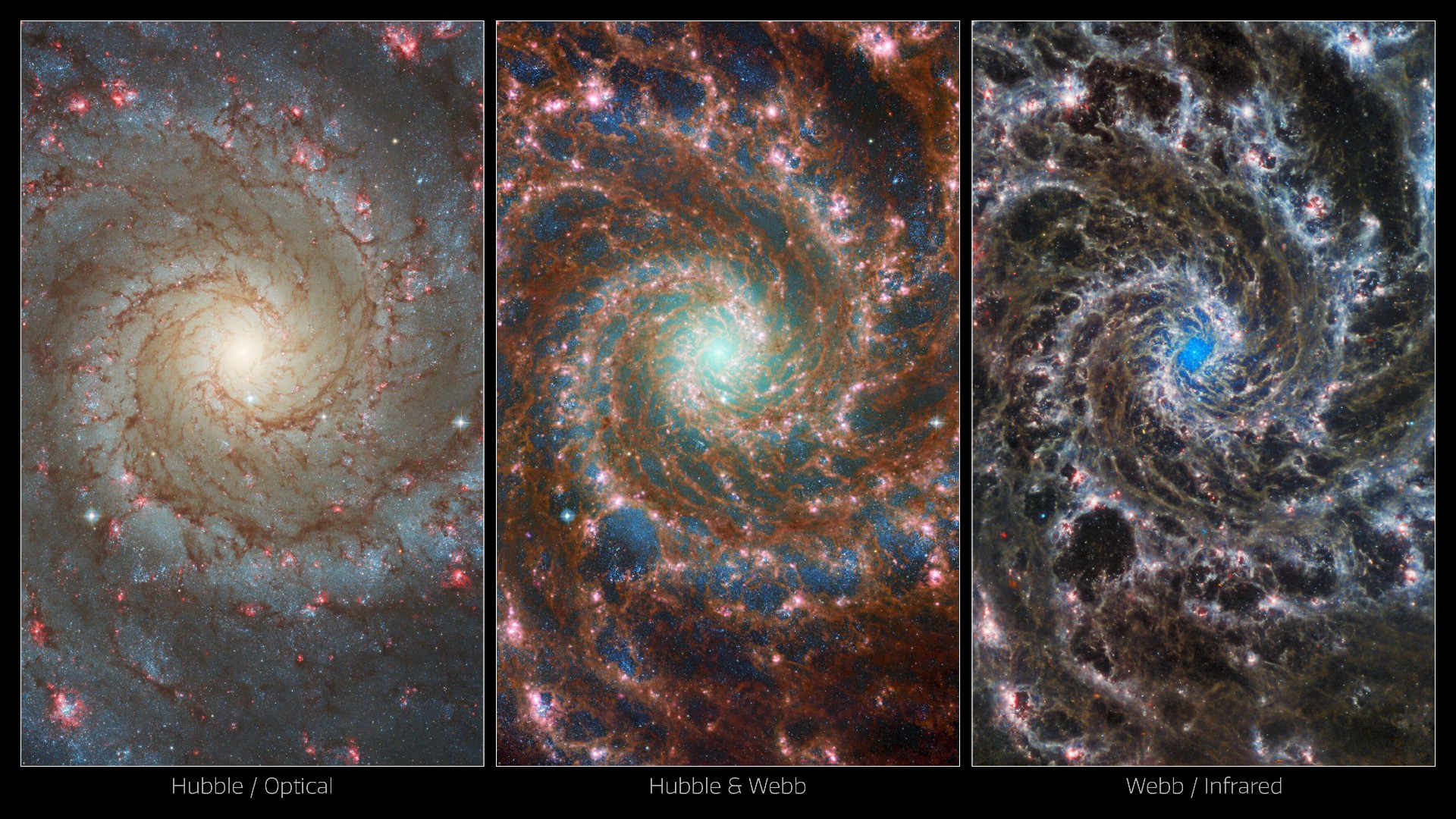 The Phantom Galaxy as seen in multiple wavelengths by the Hubble Space Telescope (left) and the James Webb Space Telescope (right), with a combined image at the center. They are all in a spiral pattern.