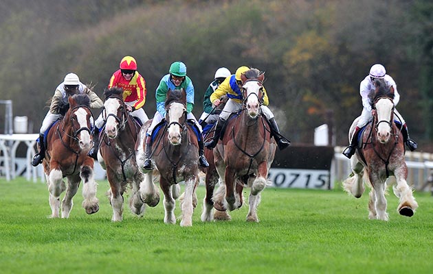910545_Exeter_Races_Charity_Race__221115_ppauk036.jpg