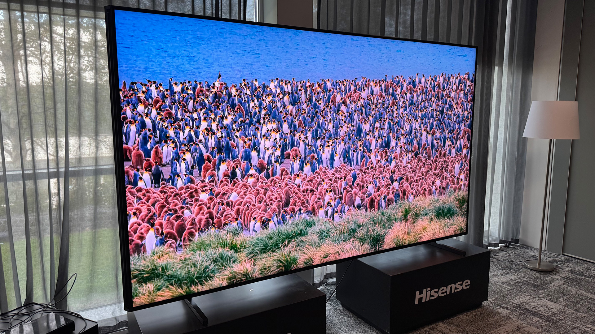 Hisense 116UX RGB Mini LED TV on Hisense risers in front of light curtains, on screen are penguins