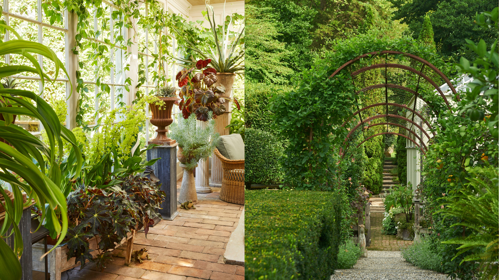 Large tropical potting plants, and a lush garden archway