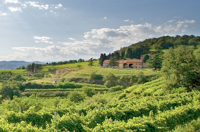 Coffele, Castel Cerino, Soave Classico