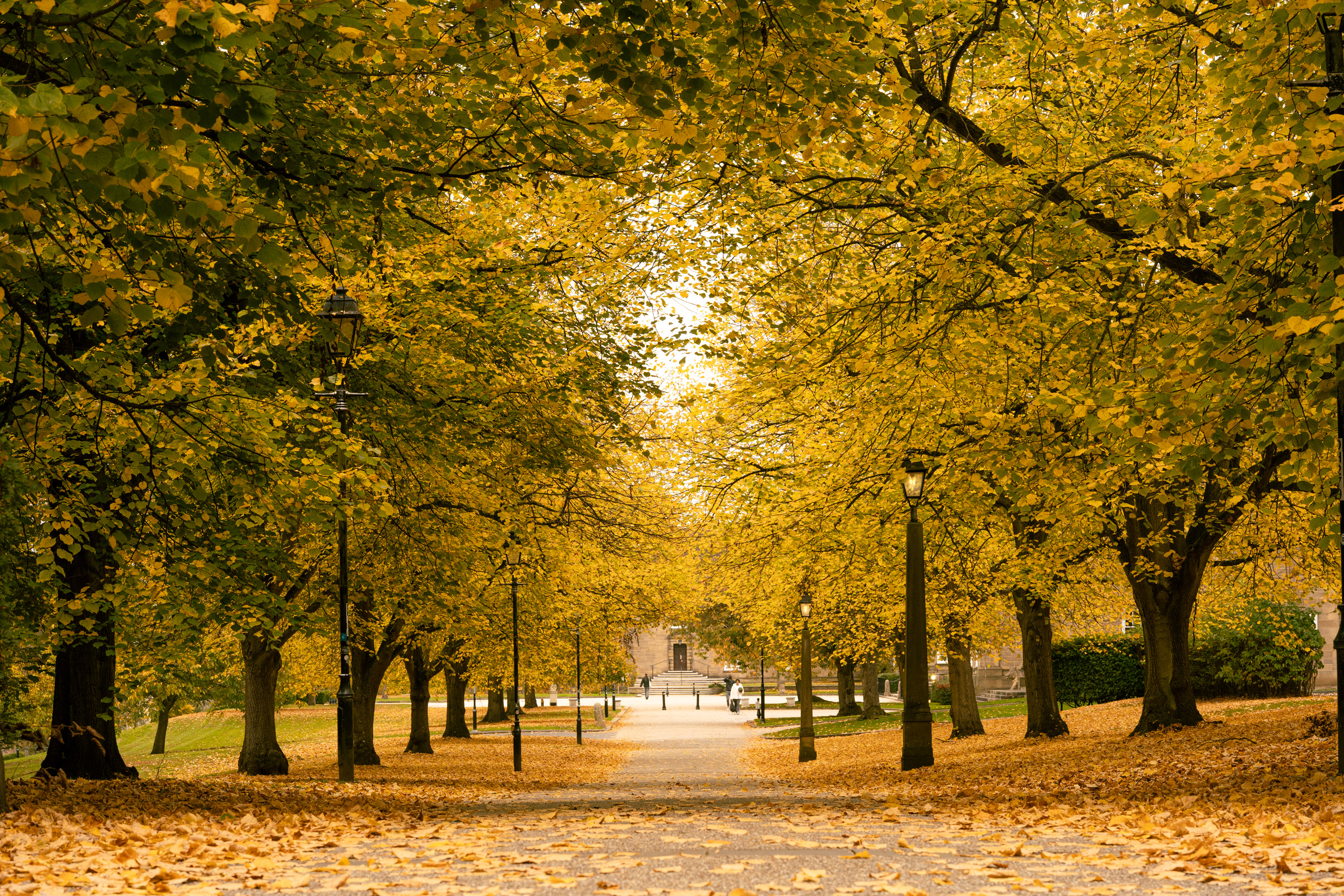 An autumnal landscape image in Durham City