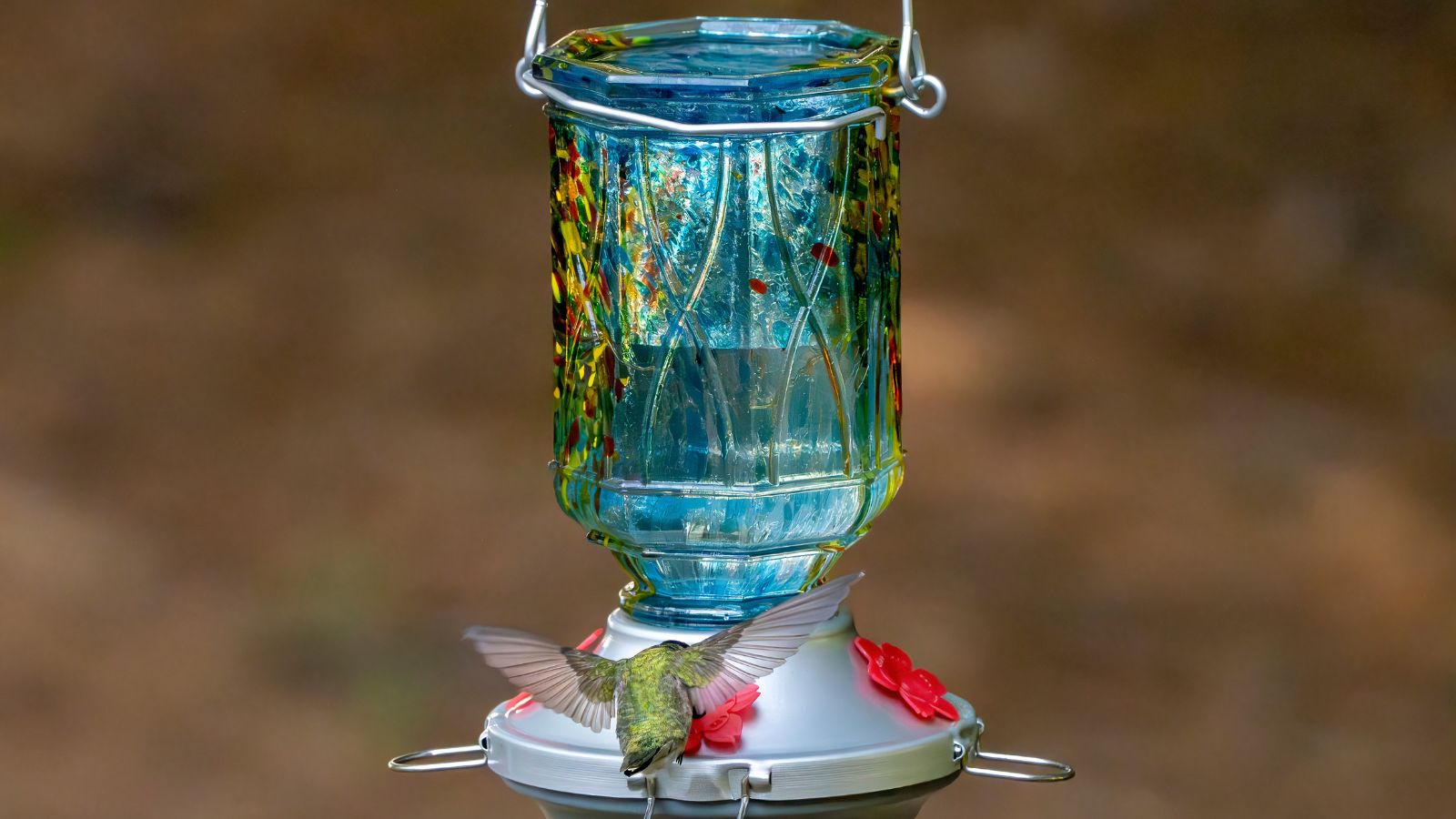 Hummingbird feeding from blue glass feeder with silver base