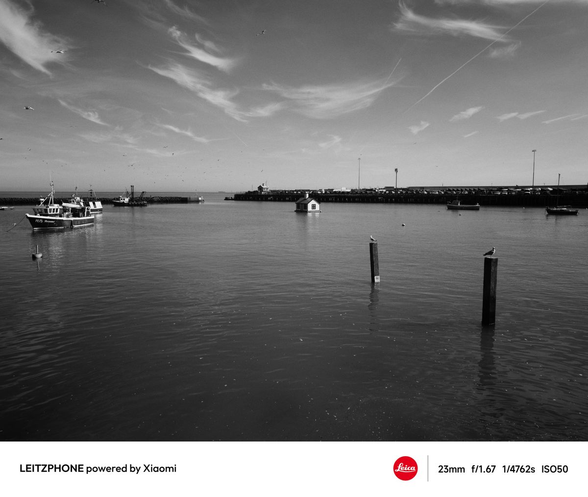 Black-and-white harbor scene with boats and posts in the water