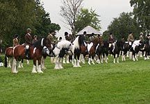 coloured-lineup.jpg