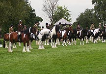 coloured-lineup.jpg