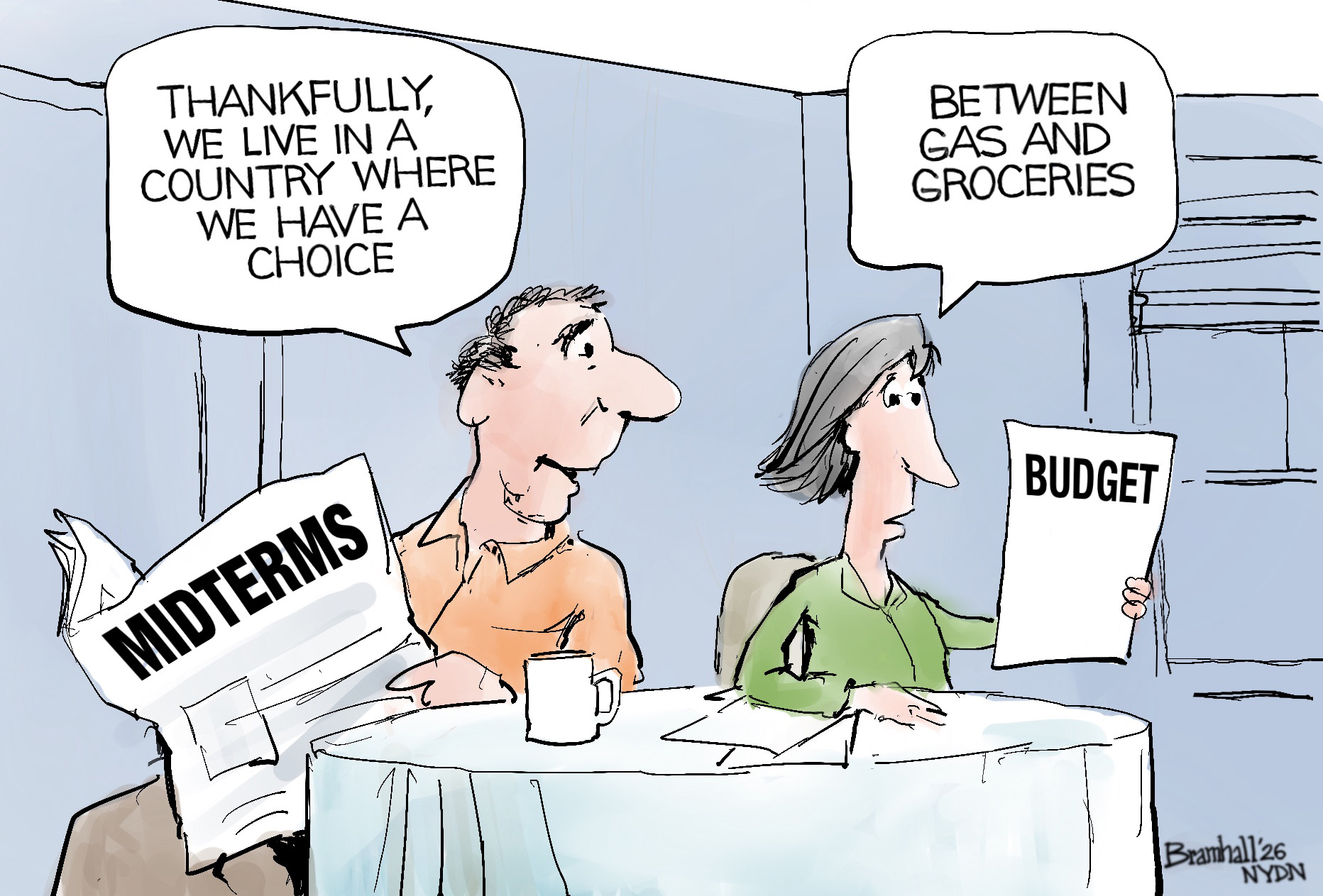 Political Cartoon