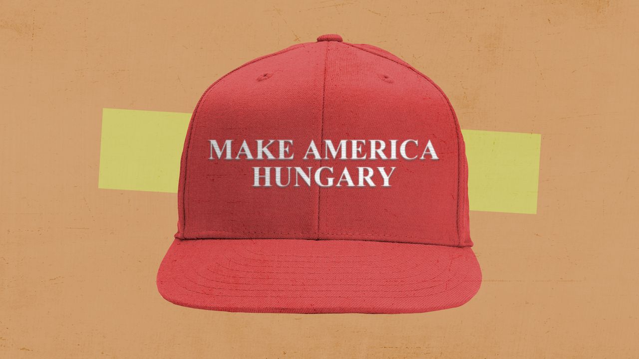 A MAGA hat.