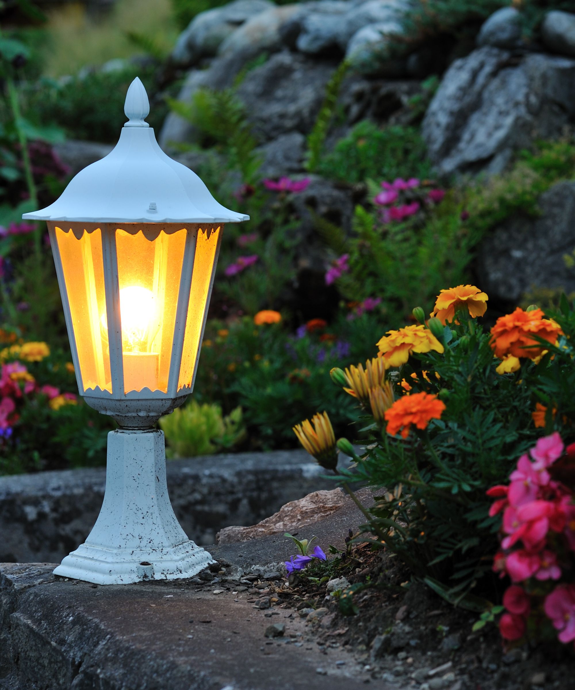 White lantern in flower bed