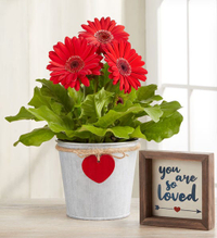 Flowers and baskets: up to 40% @ 1-800-Flowers