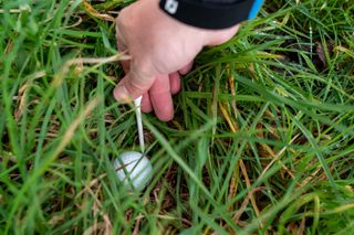 Identifying golf ball - mark its position first