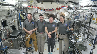 four people float in a space station module.