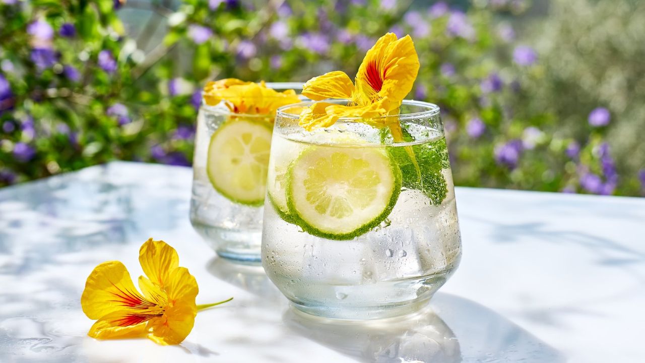 Two glasses of sparkling water with lime slices and nasturtium flowers