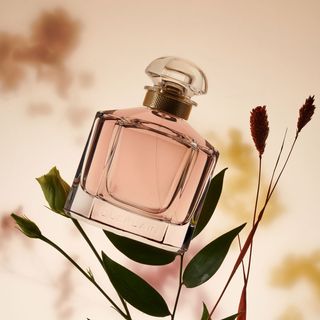 Mon Guerlain Eau de Parfum floral perfume shot on rose buds