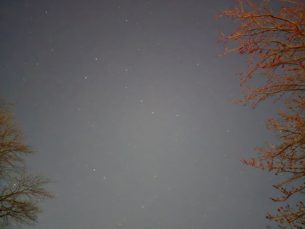 Samsung Galaxy S24 Ultra Low Light Sample.