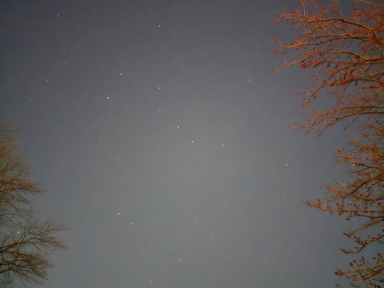 Samsung Galaxy S24 Ultra Low Light Sample.