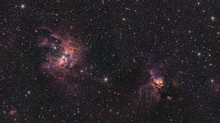 NGC 3603 (left) looks slightly larger than NGC 3576 (right). Both look like glowing pink cracks against the sparkly background of space.