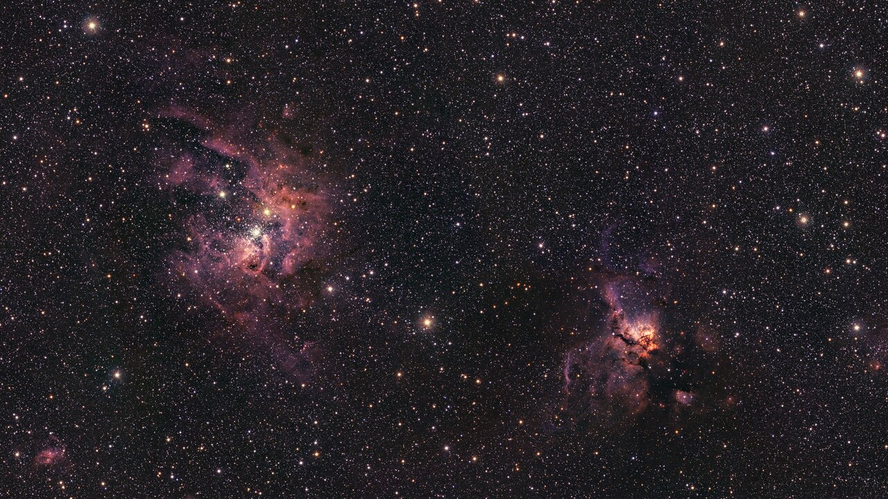 NGC 3603 (links) erscheint etwas größer als NGC 3576 (rechts). Vor dem glänzenden Hintergrund des Weltraums sehen beide wie leuchtend rosa Risse aus.