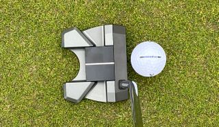 The Edel Golf Array F-1 Putter from above and addressing the golf ball