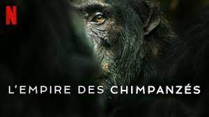 L'empire des chimpanzés