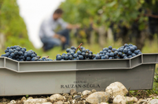 Ch&acirc;teau Rauzan-S&eacute;gla