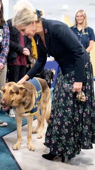 Sophie, Duchess of Edinburgh Patron, attends the Buddy Dogs Family Event at the Guide Dogs UK centre on October 31, 2024