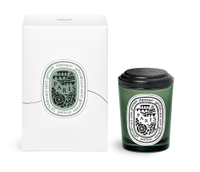 Paris Scented Candle for $105, at Diptyque