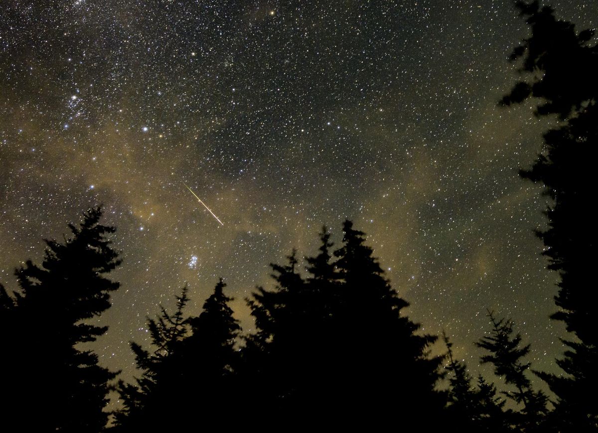 A meteor shoots across the starry sky against the silhouette of trees.