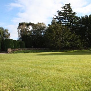 front yard lawn with trees