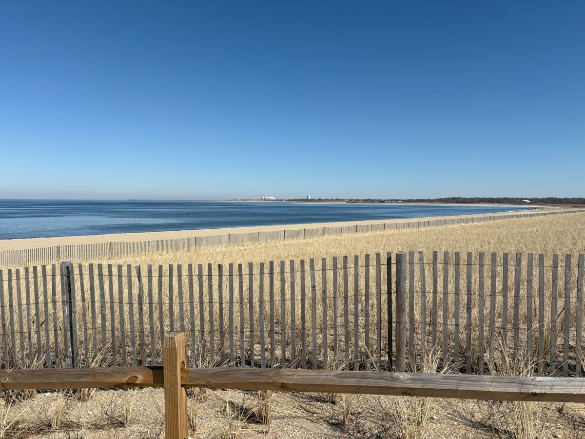 Apple iPhone 16 camera sample.