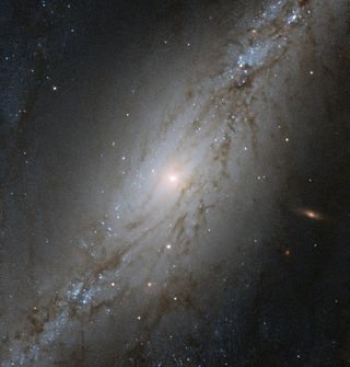 This image, taken by the NASA/ESA Hubble Space Telescope, shows the spiral galaxy NGC 7513. The galaxy, which is about 60 million light-years away, is located in the Sculptor constellation and moves at an astounding 972 miles (1,564 kilometers) per second away from planet Earth.