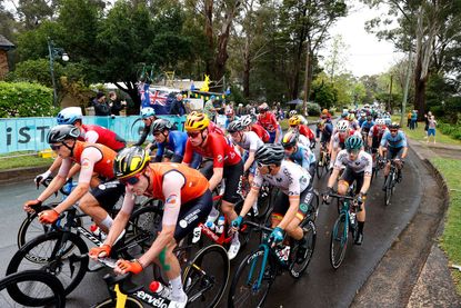 2023 Pro Cycling World Champion Jersey Revealed