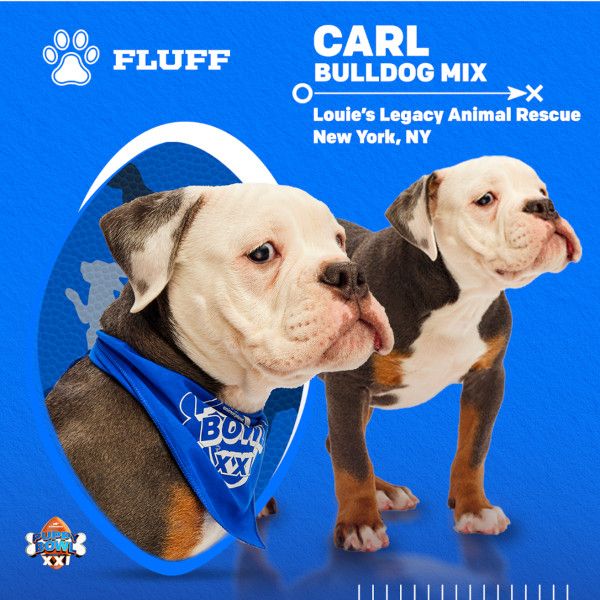 Puppy Bowl 2025 Carl