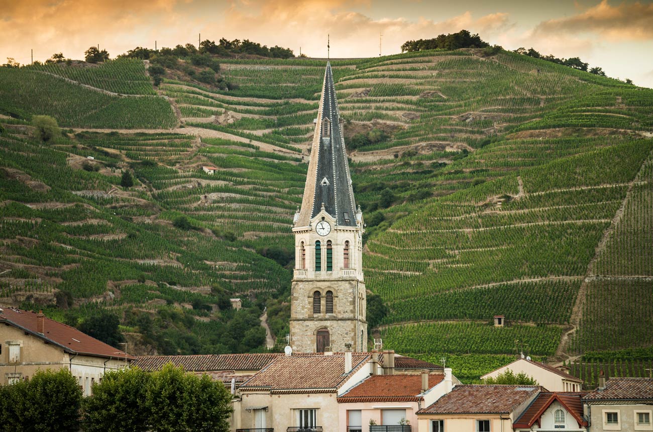 Understanding Hermitage wine