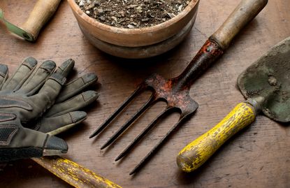 A close up of some rusted garden tools next to some gardening gloves and a pot of soil