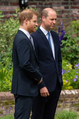 Prince William and Prince Harry