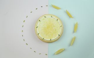 A cake covered in lemon zest sits on a light purple and light blue background. The cake is surrounded by slices of lemon and mint leaves.