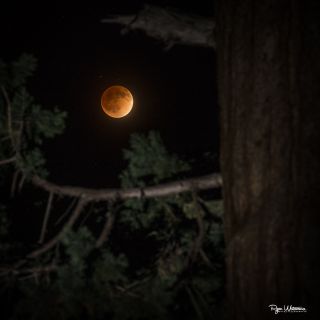 Photographer Ryan Watamura captured this amazing photo of the total lunar eclipse on April 15, 2014 from Grant's Grove in Kings Canyon National Park in California using a Canon EOS 1dx camera, 70-200 2.8L IS II, Canon 600EX-RT flash with a CTO gel.