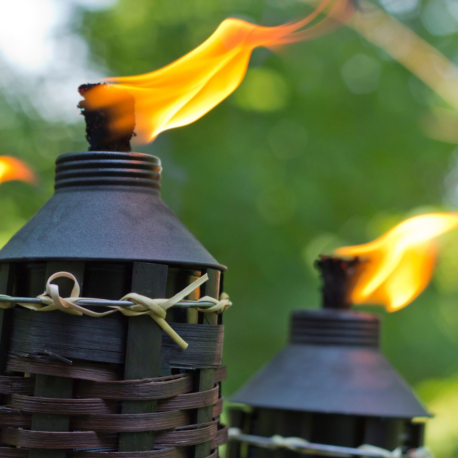 Do citronella candles actually repel mosquitose? Ideal Home