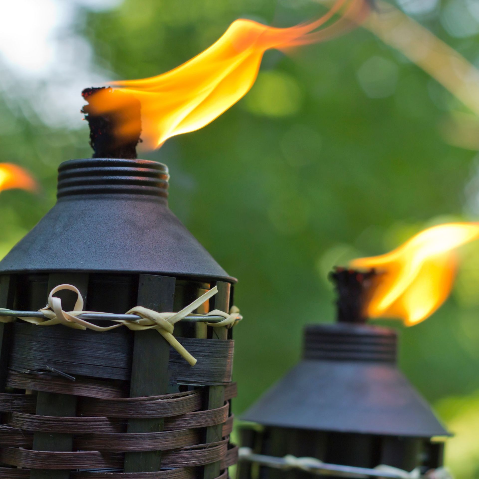 Citronella candles/citronella torches burning in a garden to repel mosquitoes