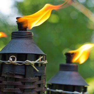 Citronella candles/citronella torches burning in a garden to repel mosquitoes