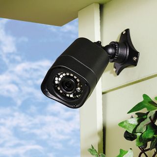 security camera system and plants