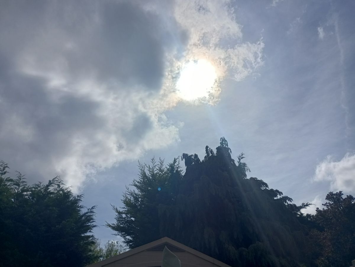 Images taken with Blackview BV9300