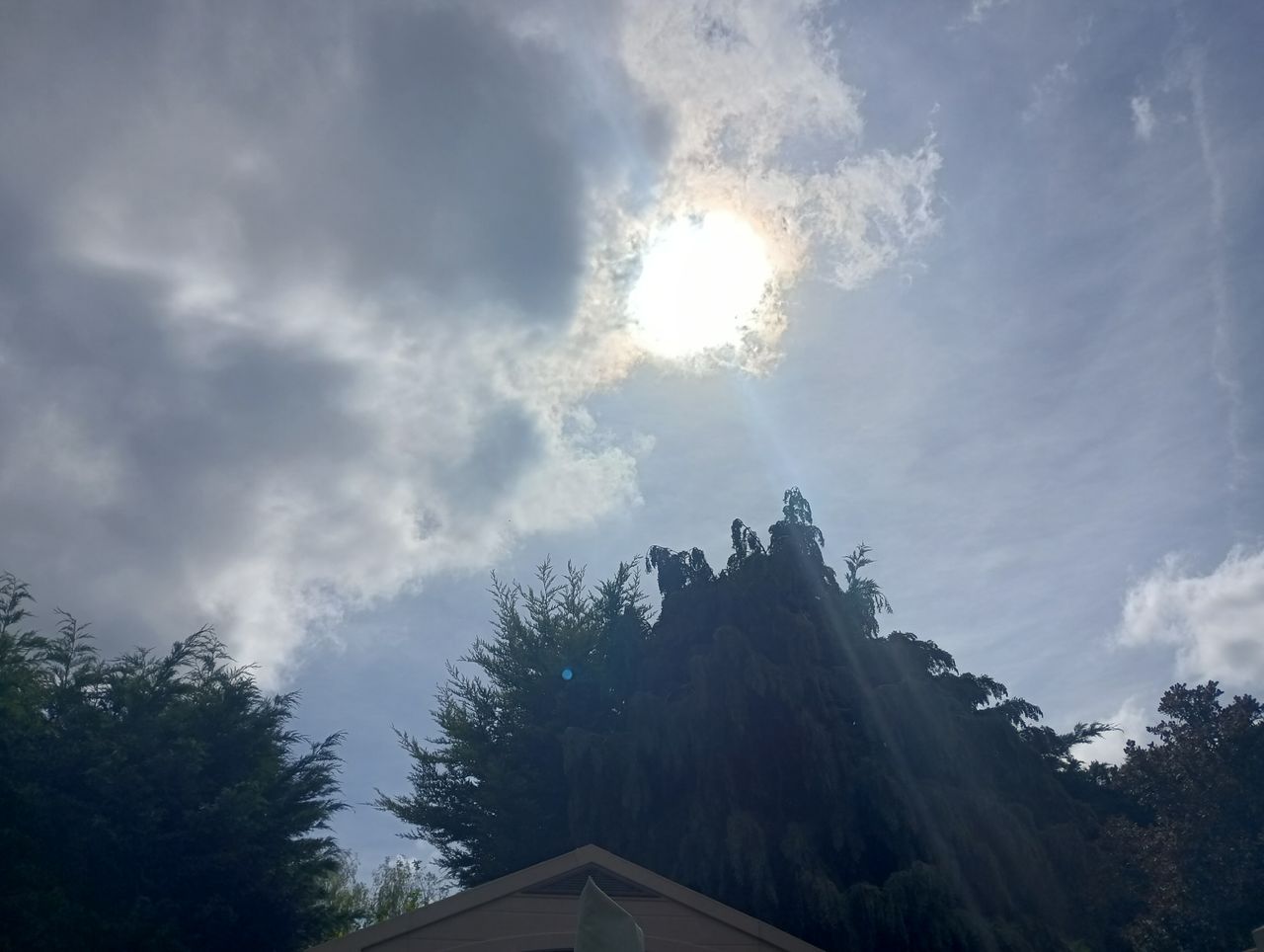 Images taken with Blackview BV9300
