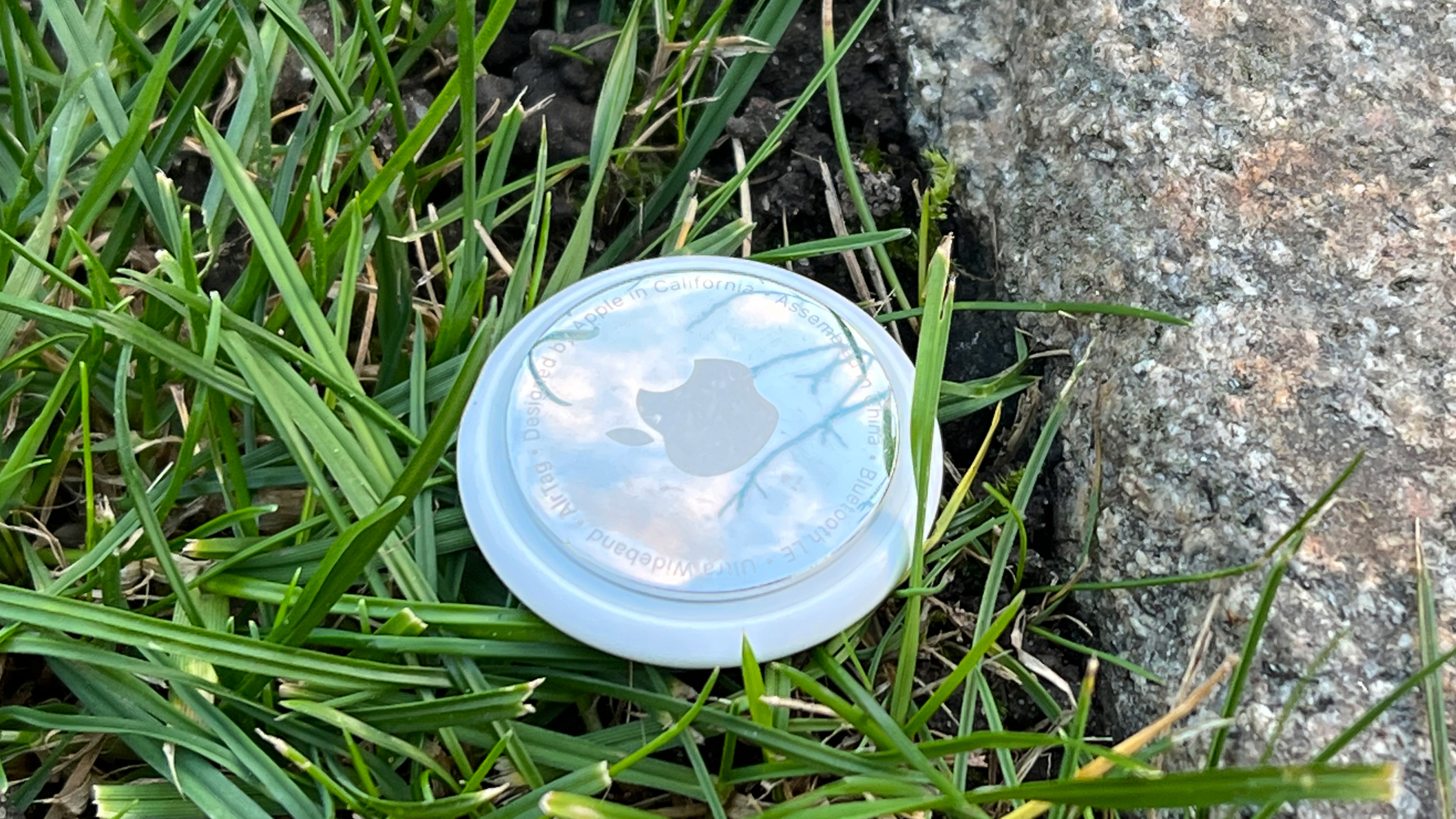 An AirTag lying in the grass with the metal side facing up